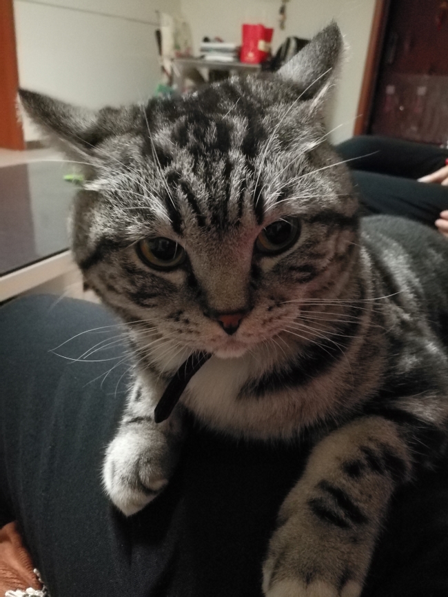 猫星人--赵昌毅6_副本.jpg 猫星人--赵昌毅6_副本.jpg