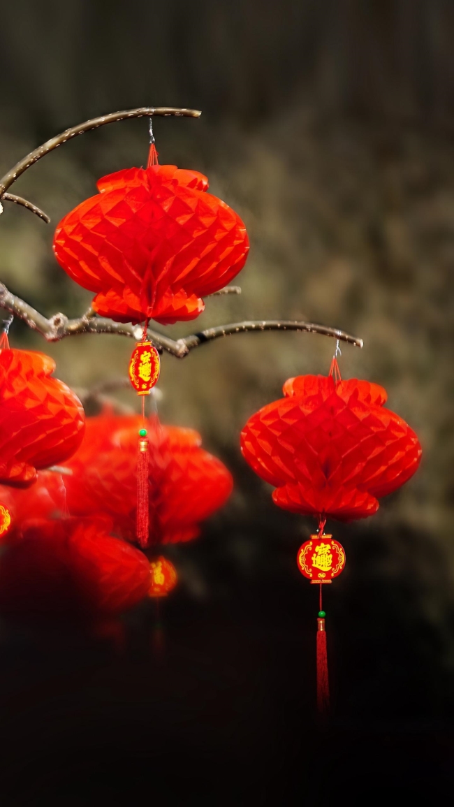 节日--王新_副本.jpg 节日--王新_副本.jpg
